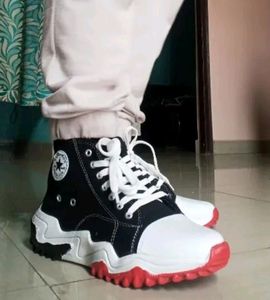 Converse Shors
