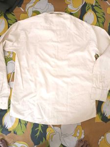 Men's Striped Cream Shirt