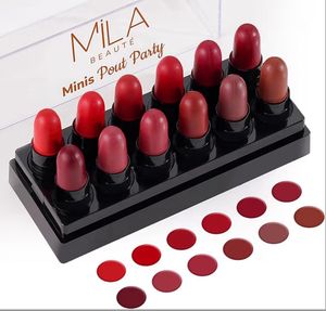 Lipstick Bundle - Variety of Shades
