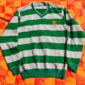 Green & Grey Striped V-Neck Sweater