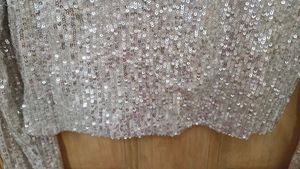 Sparkling Sequin Long Sleeve Crop Top