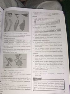Lakshya NEET Zoology Module 1 and 2