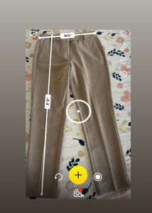 Classic Beige Tailored Trousers