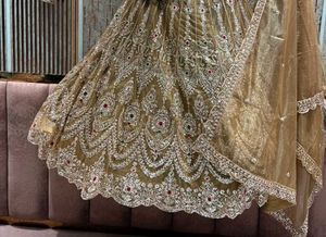 Designer Lehenga Choli Set