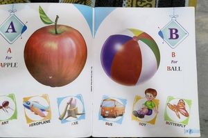 Combo Pack Of Hindi Akshar Gyan &amp; English Alphabet