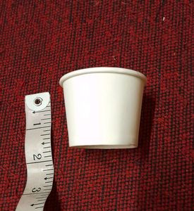 Disposable Cutlery