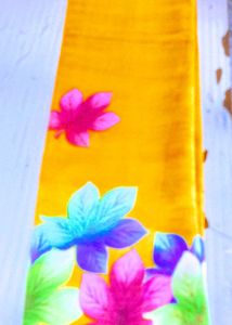 Georget Zari sarees
