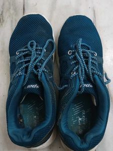 Sparx Men's Teal Sport Shoes