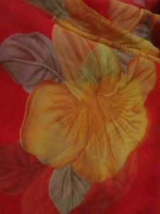 Floral Print Saree - light weight