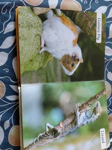My First Book of Farm Animals