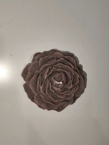 flower Candle ❤️
