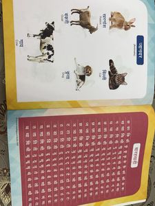Kinder Series Book A: Pre-School Hindi Alphabet