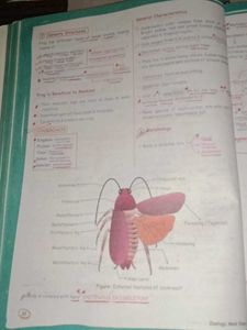 Zoology Med Easy 2.0 Book