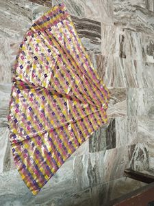 Elegant Brocade Ethnic Skirt