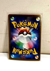Pokemon Garchomp EX Card