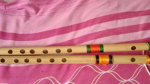 Musical Instrument