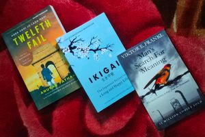 NRB HUB BOOKS SALE: Combo Of 3 Premium Novels