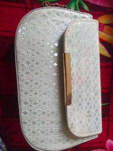 Elegant Silver Clutch Bag
