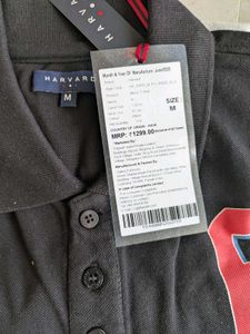 Authentic Graphic Polo Shirt