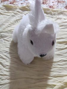 Rabbit Teddy Bear