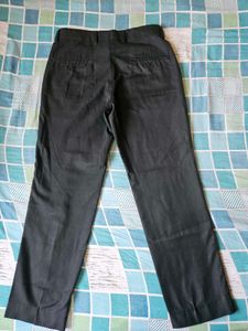 Turtle Black Formal Pant