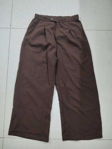 Brown Wide-Leg Pleated Trousers