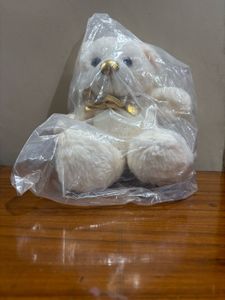 Cute Cream Teddy Bear