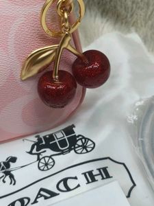 Coach Pink gift packaging for premium Lovers 🥹