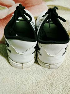 Classic White &amp; Black Striped Sneakers