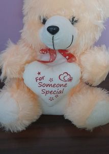 Soft Teddy