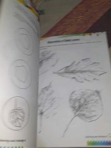 Colouring and Activity Book