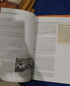 Social Science textbook Class 10th