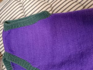knitted purple vest