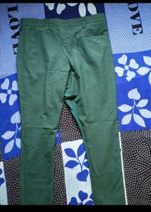 Unisex Green Pant