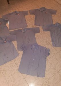 7 Half sleeve Shirts