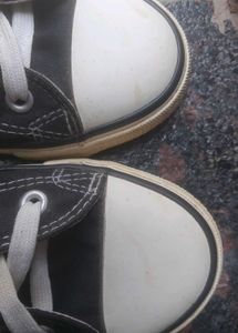 Classic sea star Black High-Top Sneakers