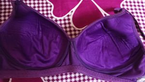 Padded Tweens Brand Purple Bra