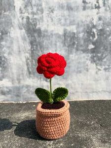 Handmade Crochet Rose Plant