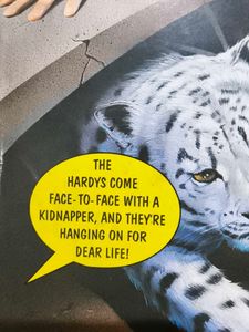 Hardy Boys: The Search for Snow Leopard