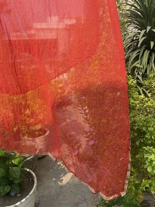 Vibrant Red Dupatta