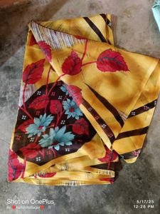 Saree Without Blouse