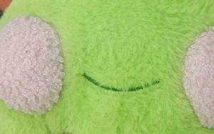 cute green frog