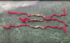 Yo Bro Rakhi Set
