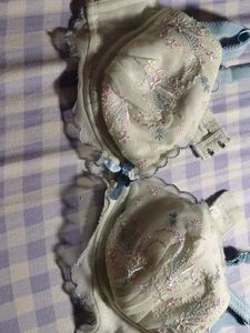 Sea Green Embroidered Bra