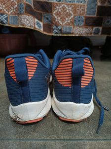 Sports Shoes