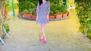 Floral Print Accordian Pleated Dress