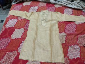 Men's Beige Embroidered Kurta