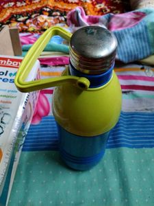 Insulated Water Bottle