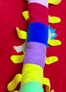 Caterpillar 🐛 Soft Toys