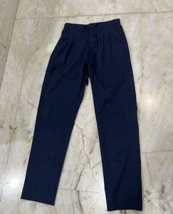 Navy Blue Pleated Trousers